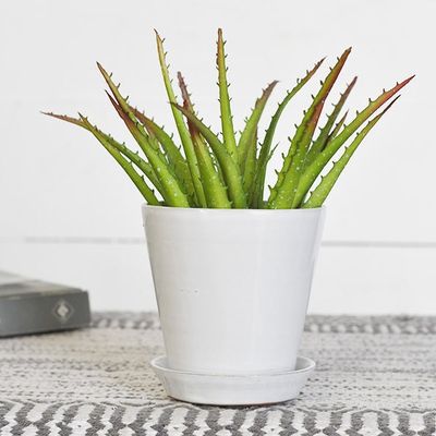 4″ MODERN PLANTER