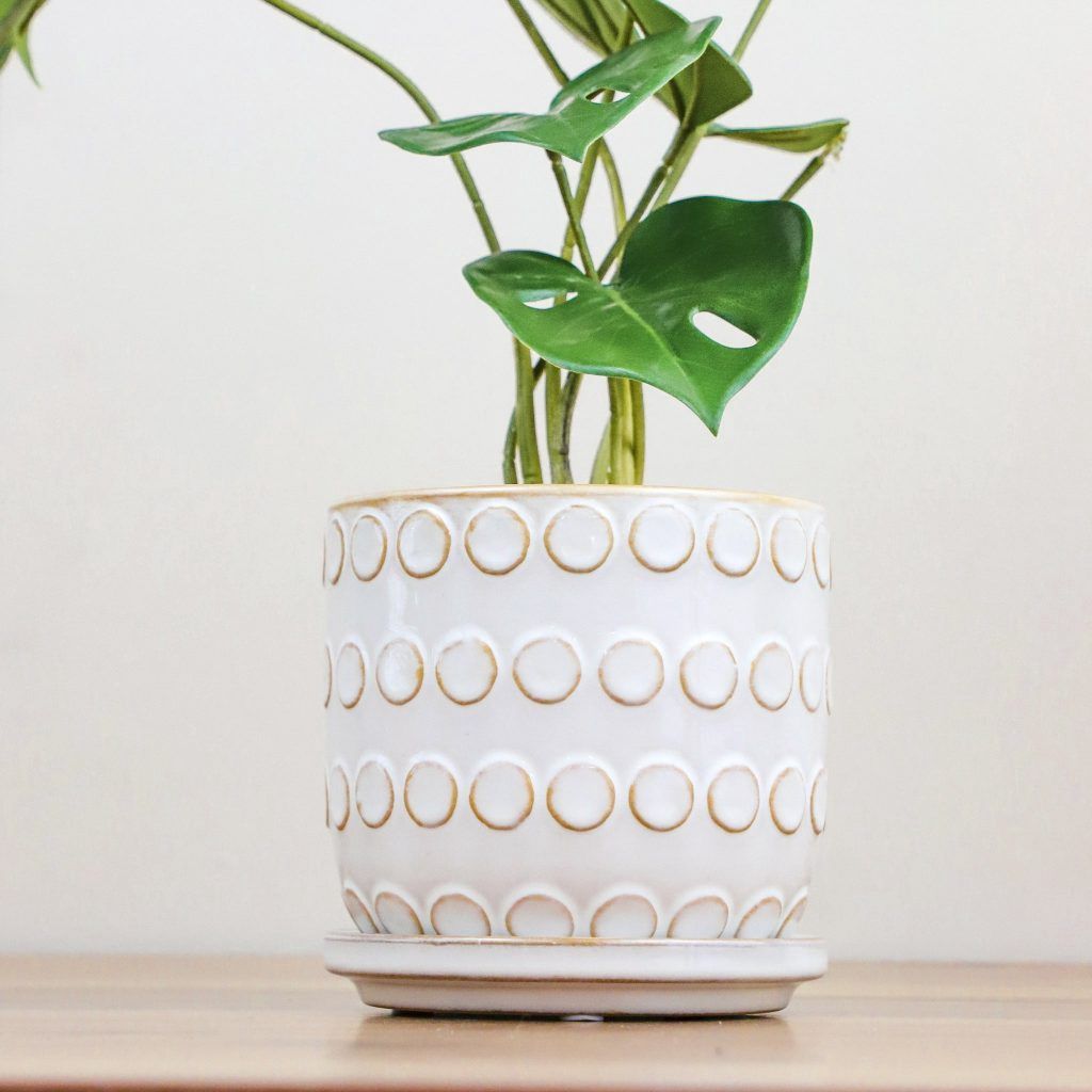 4.5″ CERAMIC DOT POT