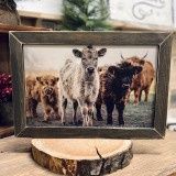 CURIOUS CALVES WOOD FRAMED PICTURE