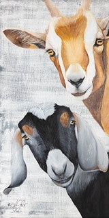 SHENANIGANS GOAT WOOD FRAMED PICTURE