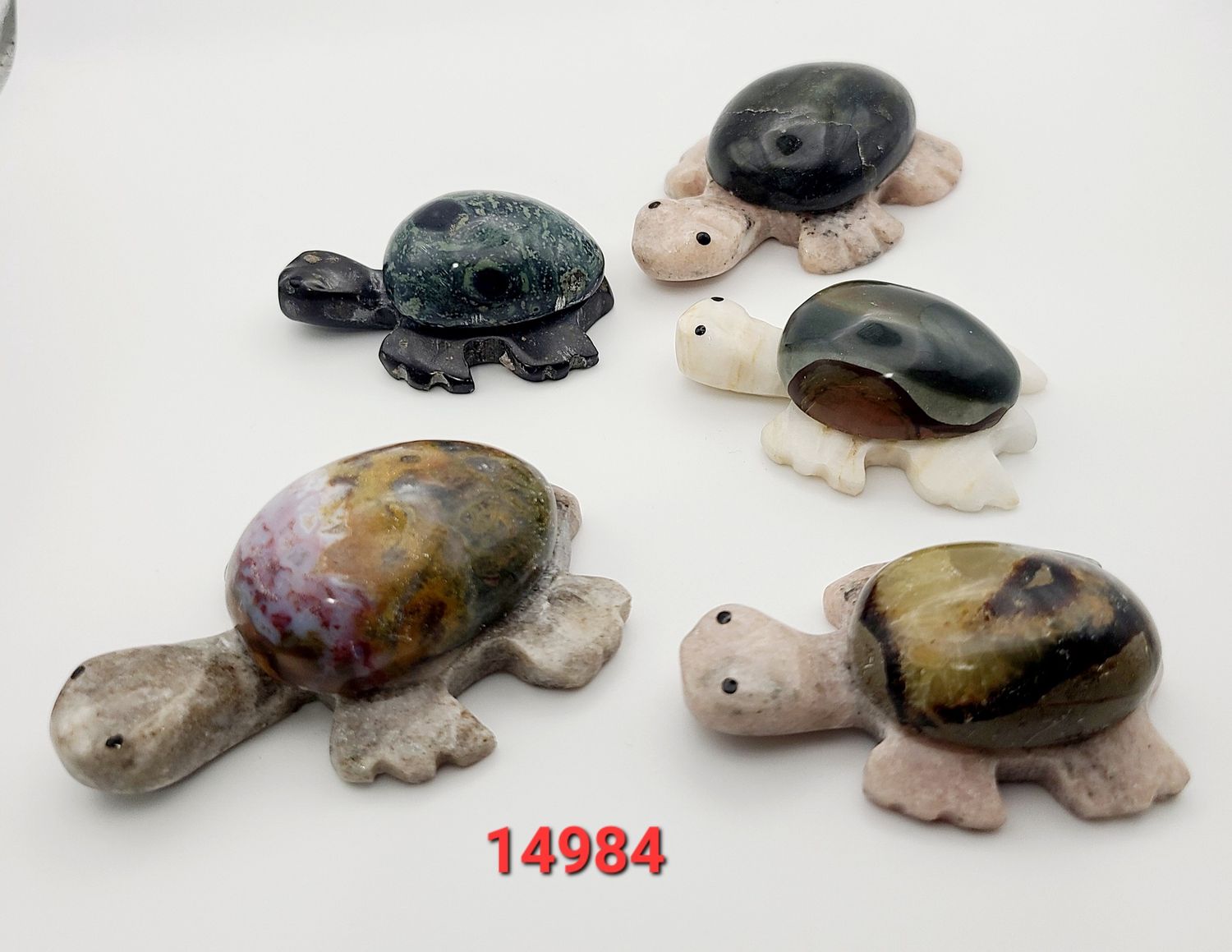 JAPSER TURTLE