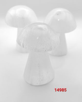 SELENITE MUSHROOM