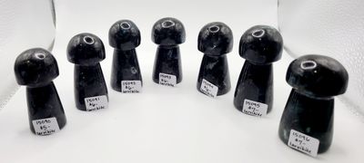 BLACK LARVIKITE MUSHROOM