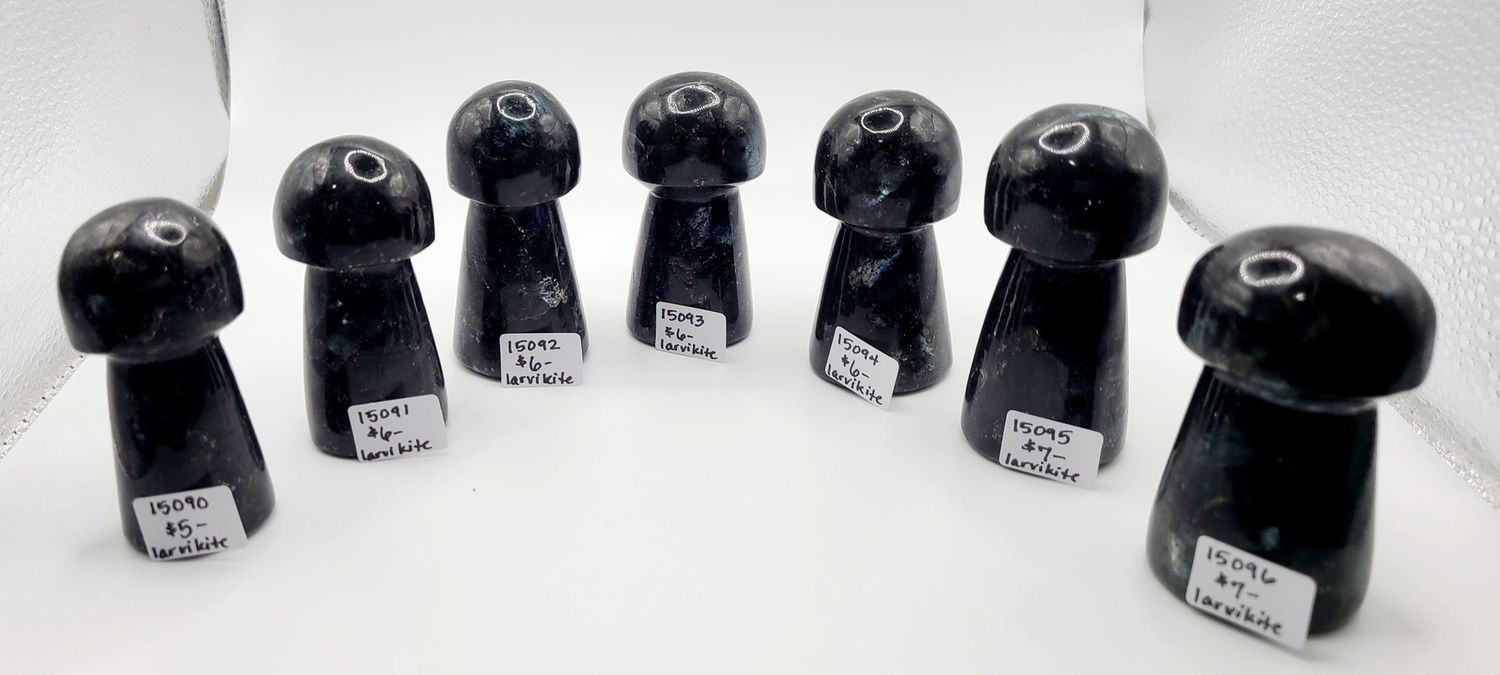 BLACK LARVIKITE MUSHROOM, Size: 15090 87 GRAM