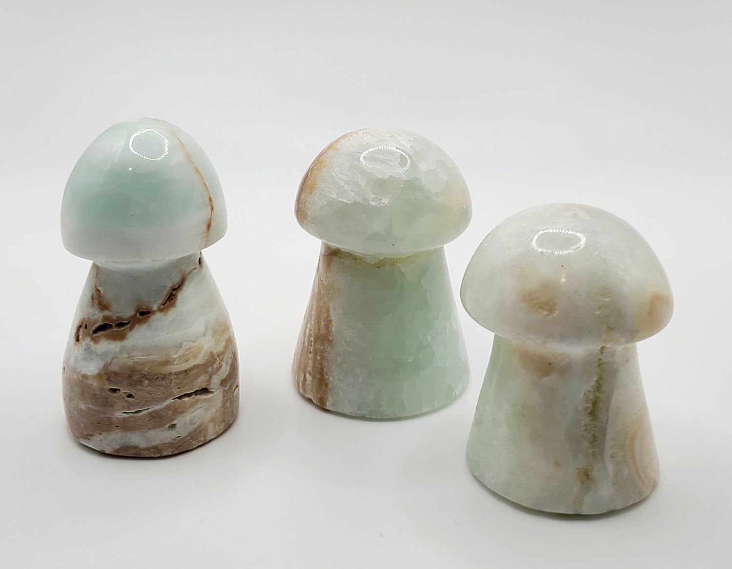 CARIBBEAN CALCITE MUSHROOM ASSORTED