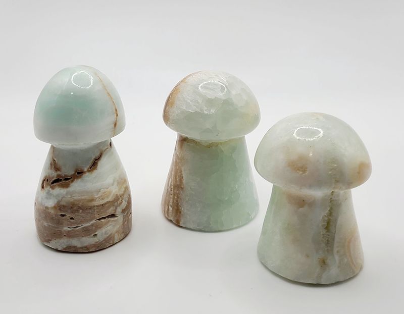 CARIBBEAN CALCITE MUSHROOM ASSORTED
