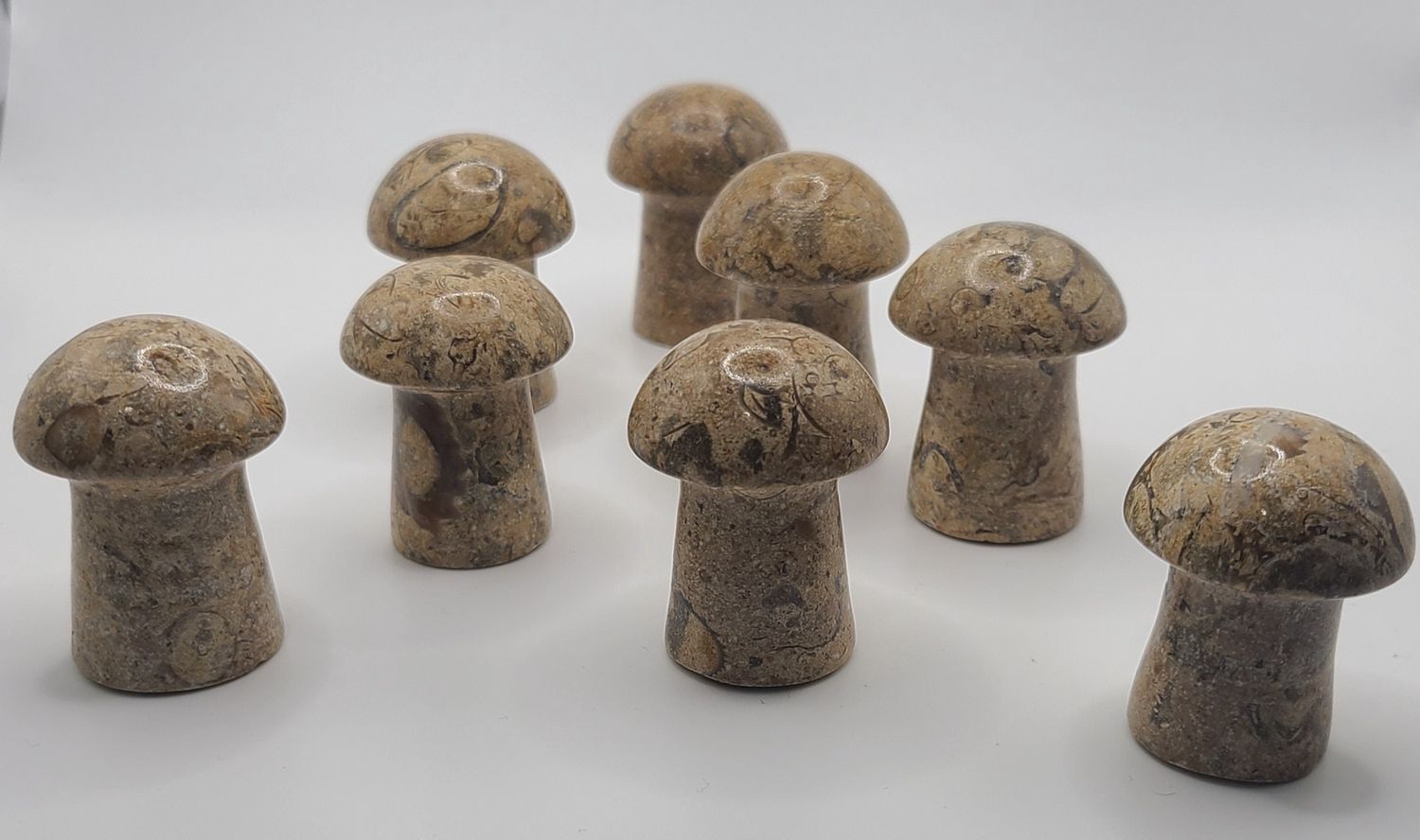 CORAL JASPER MUSHROOM