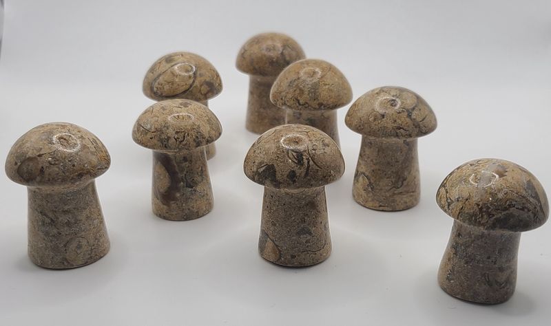 CORAL JASPER MUSHROOM