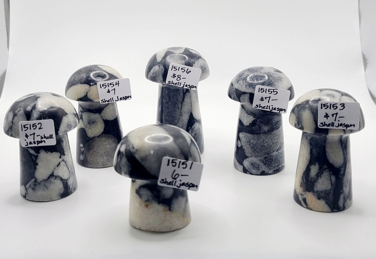 SHELL JASPER MUSHROOM, Size: 15151 93 GRAMS