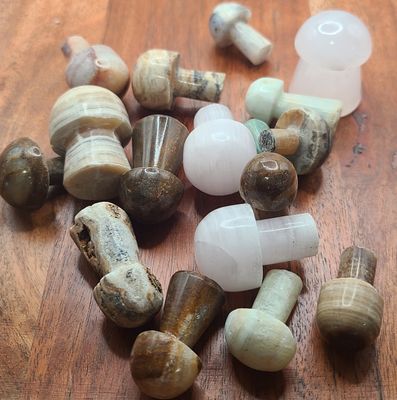 MISC MINI STONE MUSHROOM ASSORTED