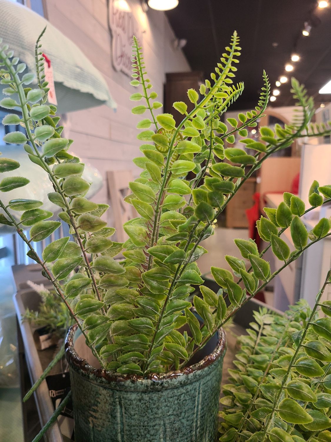 SEED SHAPE FERN PICK