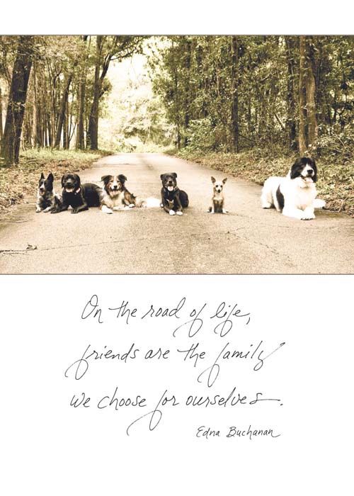 ROAD OF LIFE GREETING CARD
