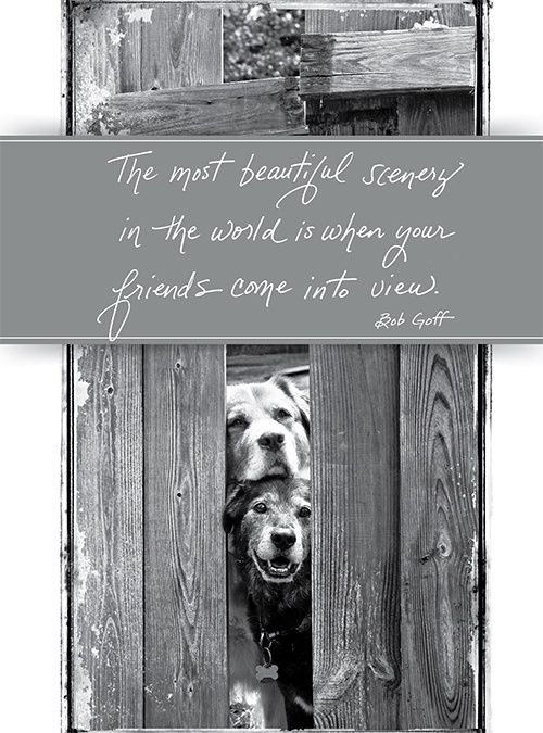 PEEK A BOO PALS GREETING CARD