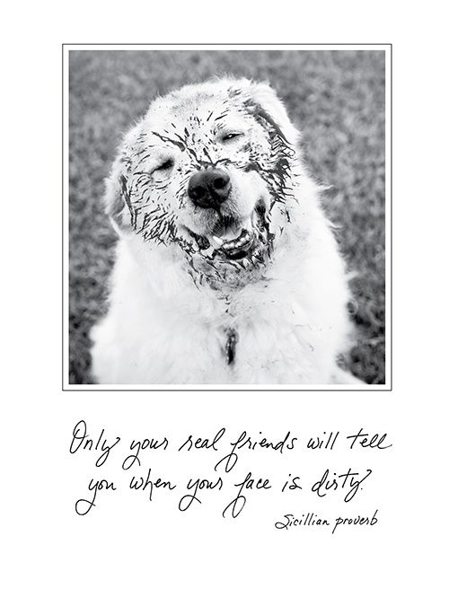 A HAPPY MESS GREETING CARD