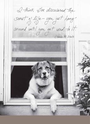 IS MOMMY HOME YET GREETING CARD