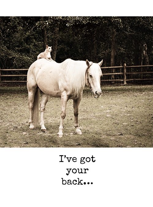 I&#39;ve Got Your Back..