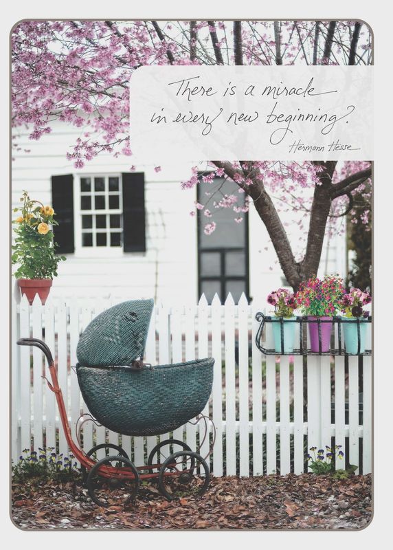 Hermann Hesse &#39;miracle in Every New Beginning&#39;