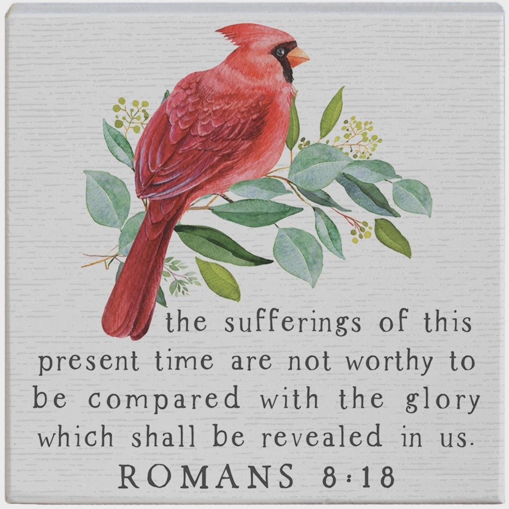 Romans 8:18 - Gift-A-Block