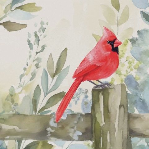 Cardinal Fence Square House Coaster