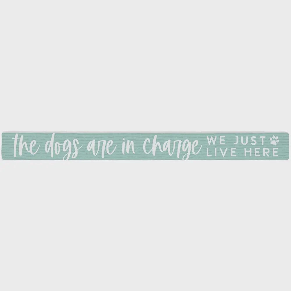 Dogs in Charge - Talking Stick
