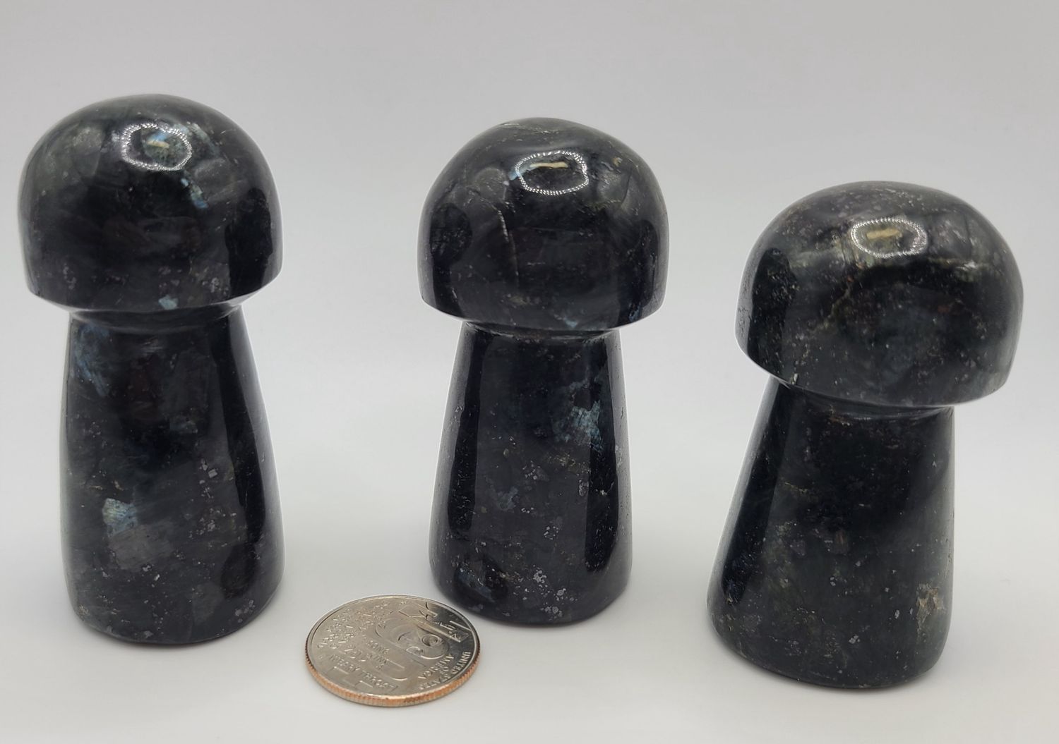 LARVAKITE MUSHROOM
