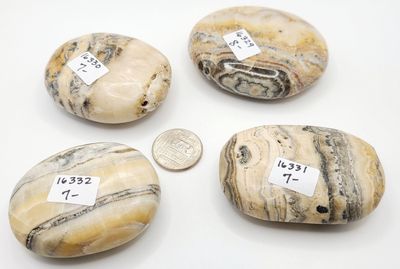 BUMBLEBEE CALCITE PALM STONE