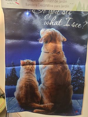 DO YOU SEE WHAT I SEE GARDEN FLAG