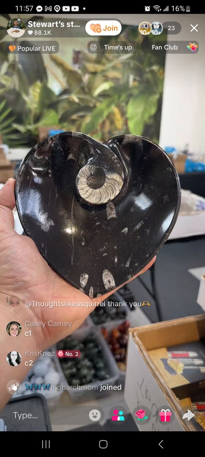 AMMONITE HEART BOWL