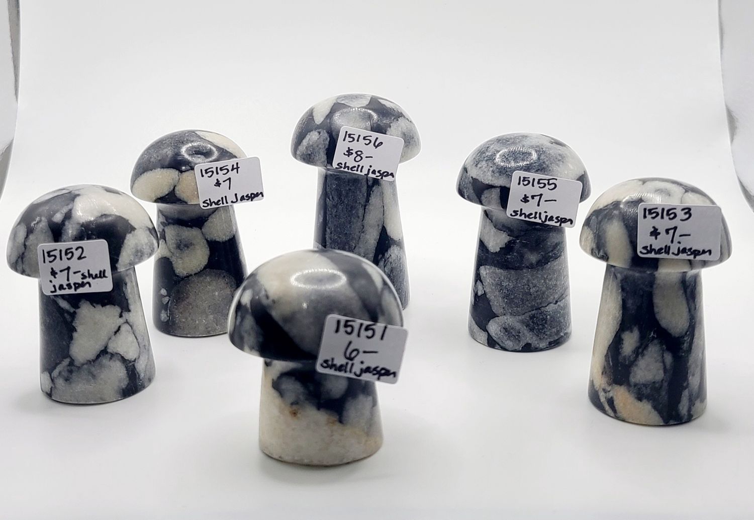 SHELL JASPER MUSHROOM, Size: 15151 93 GRAMS