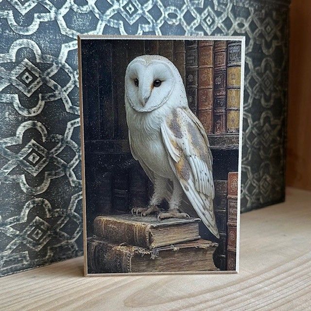 LIBRARY OWL 4X6 BLOCK