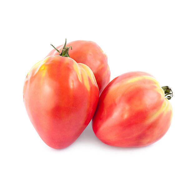 Plants : Tomates