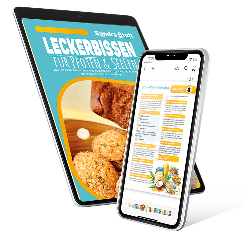 eBook Ausgabe Rezeptbuch "Leckerbissen für Pfoten & Seelen" von Sandra Stolt