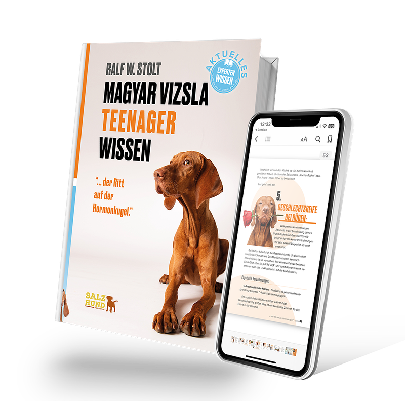eBook Magyar Vizsla TEENAGER Wissen - "... der Ritt auf der Hormonkugel."