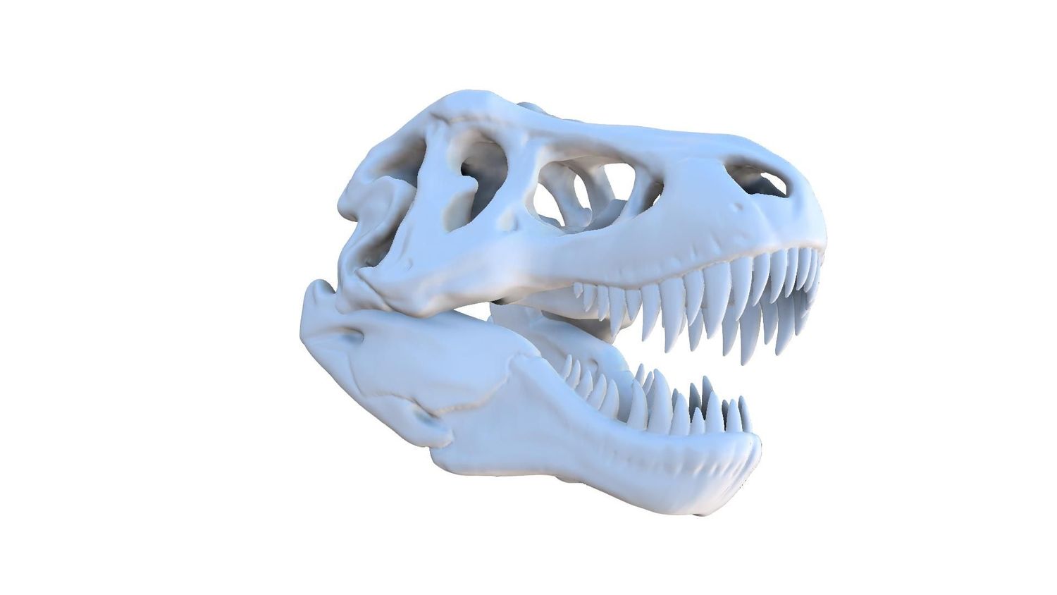 T - REX