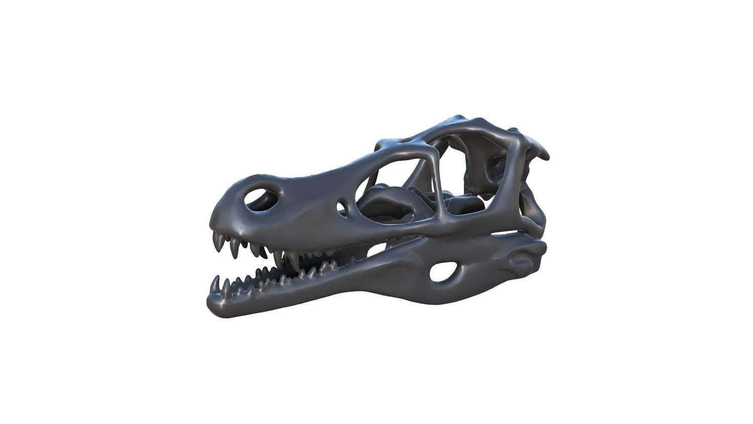 Raptor