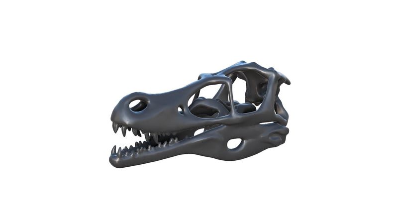Raptor