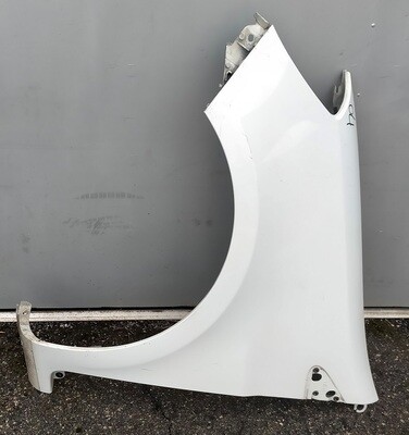 Parafango anteriore sinistro 8200256117 RENAULT CLIO 2005-2010