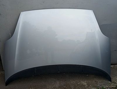 Cofano anteriore  FIAT PUNTO EVO (2010-2014)