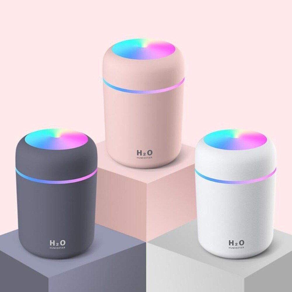 Portable electric air humidifier for cars