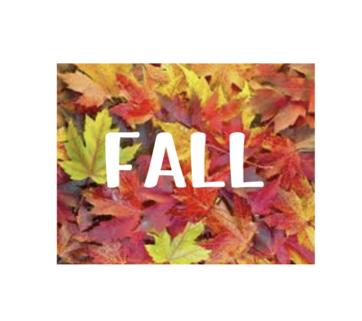 Fall