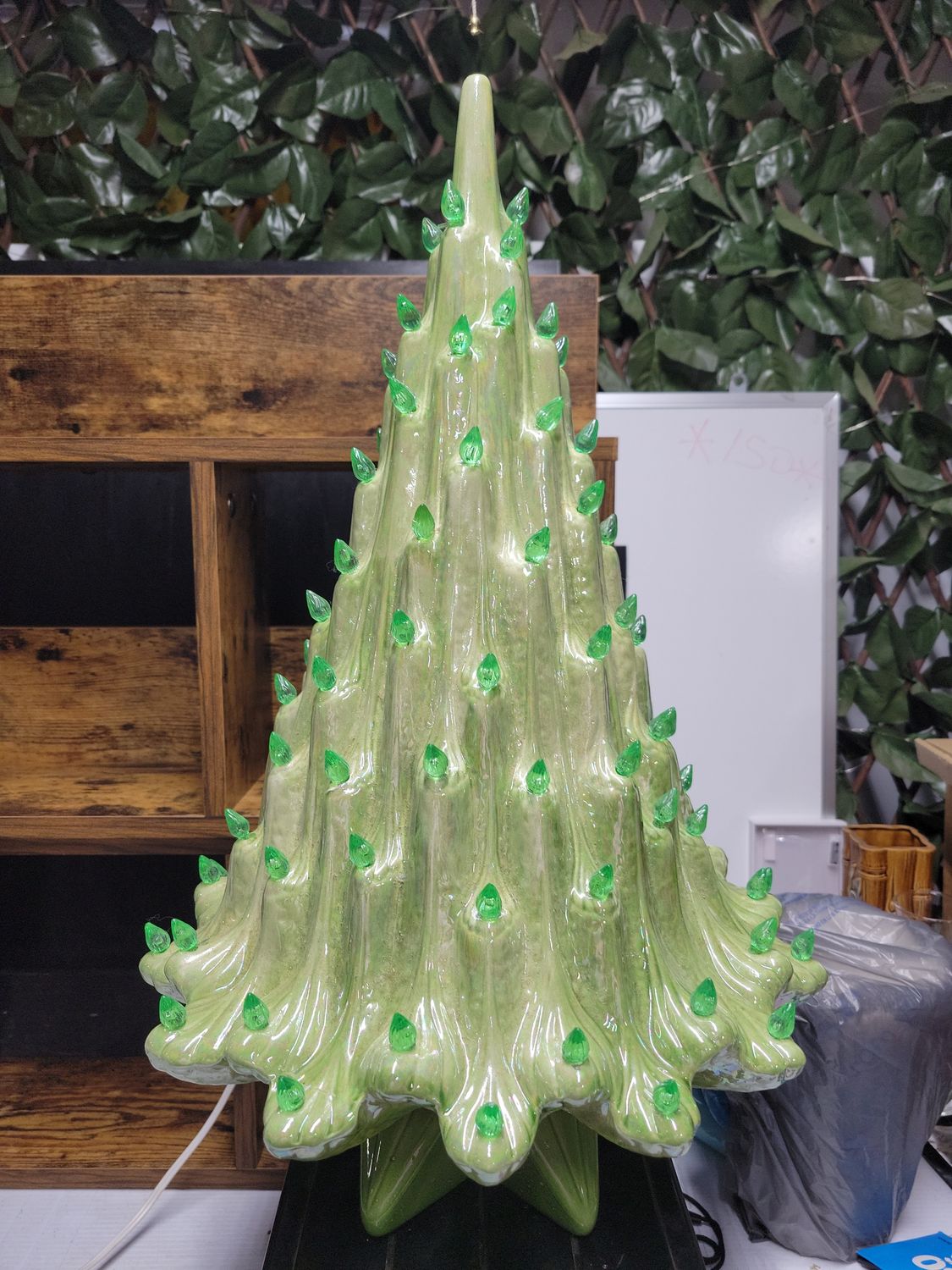 Lisa wildenberg tree