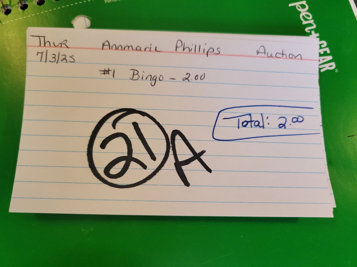 Annmarie Phillips 7/3/25 auction