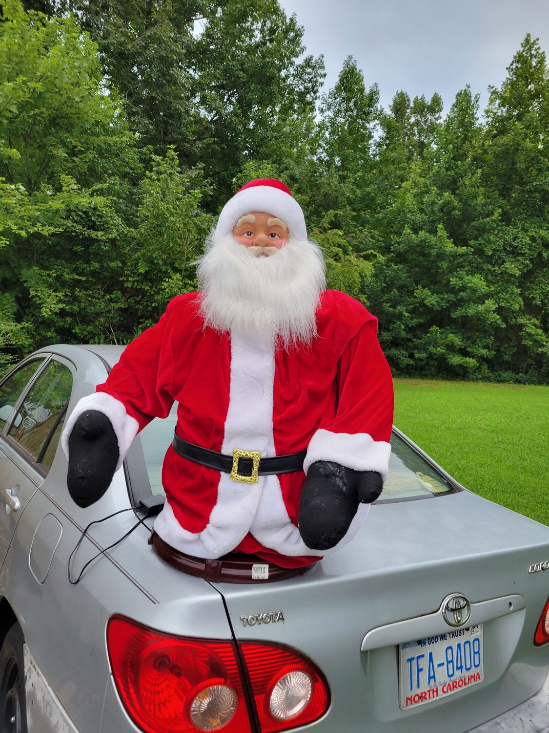 Lisa wildenberg  animated santa