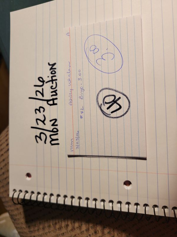 Ashley whalen 3/23/26 mon auc