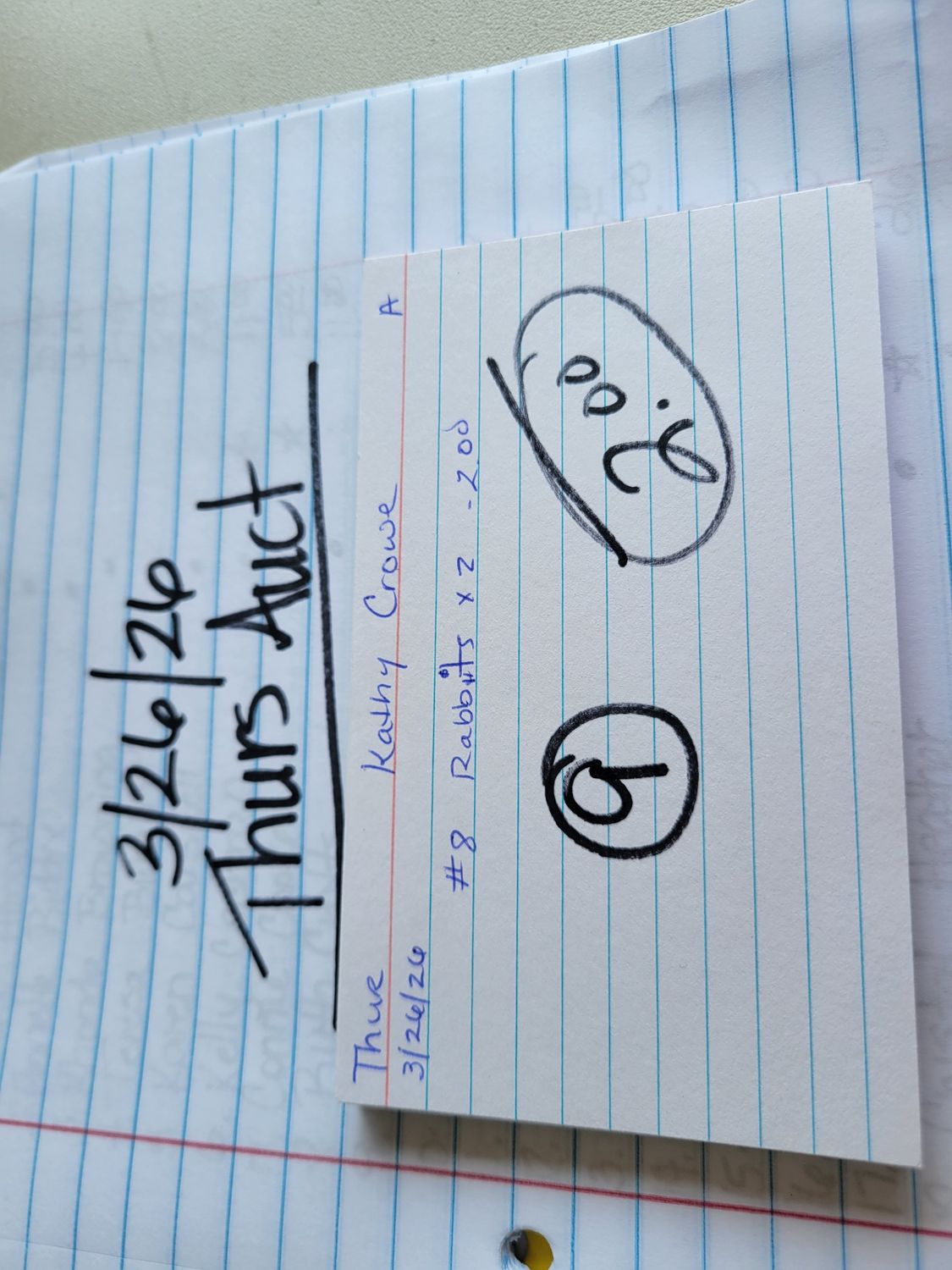 Kathy Crowe 3/26/26 auc thur