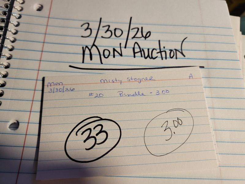 Misty stogner 3/30/26 auc min