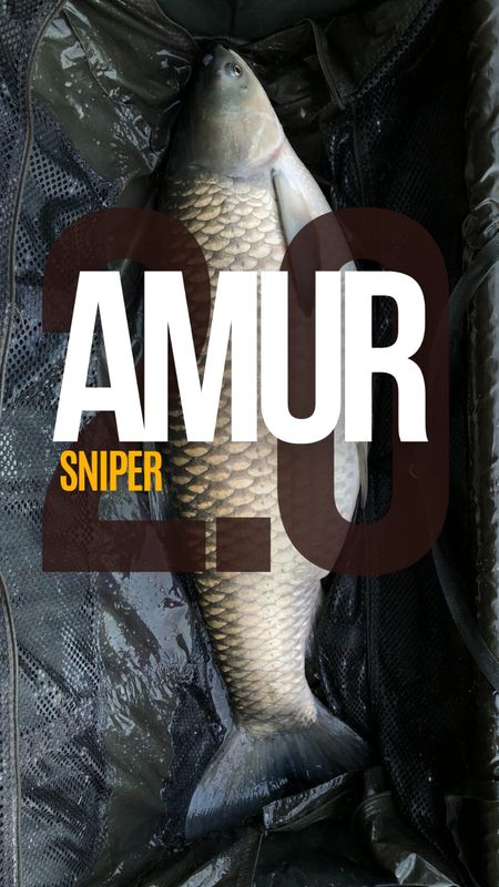 AMUR SNIPER 2.0