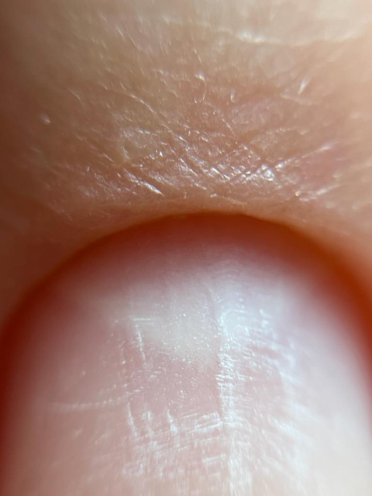 Gel Starter Pack/Kit /Set