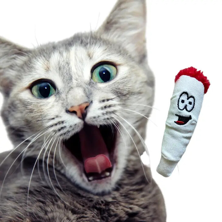 Jay Jr. the Joint 420 Cat Toy