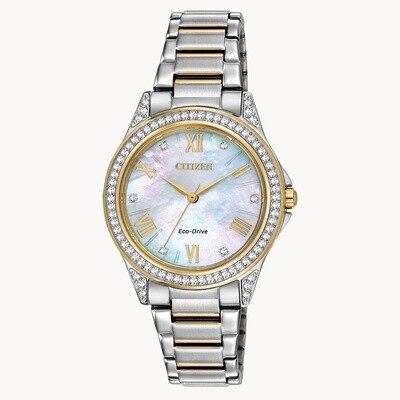 Citizen Weekender Eco-Drive Watch